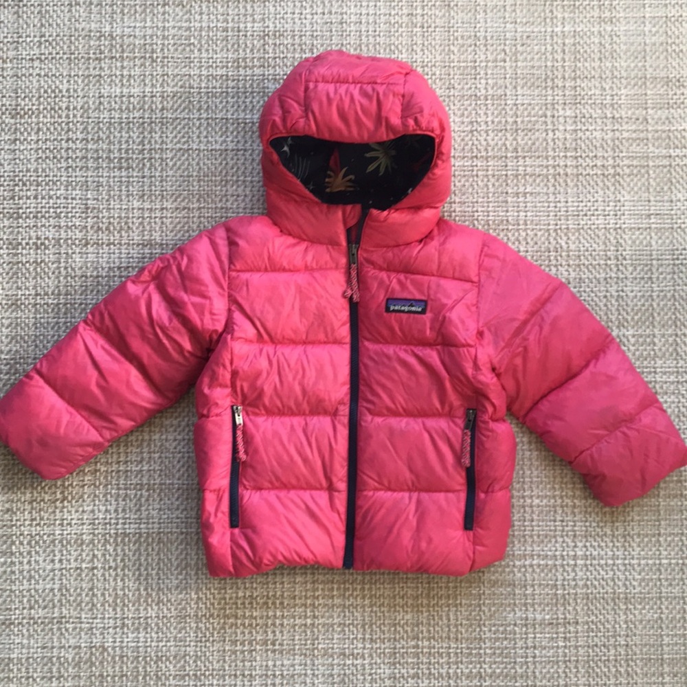 Patagonia Hi Loft Puffer Jacket (size 3T)